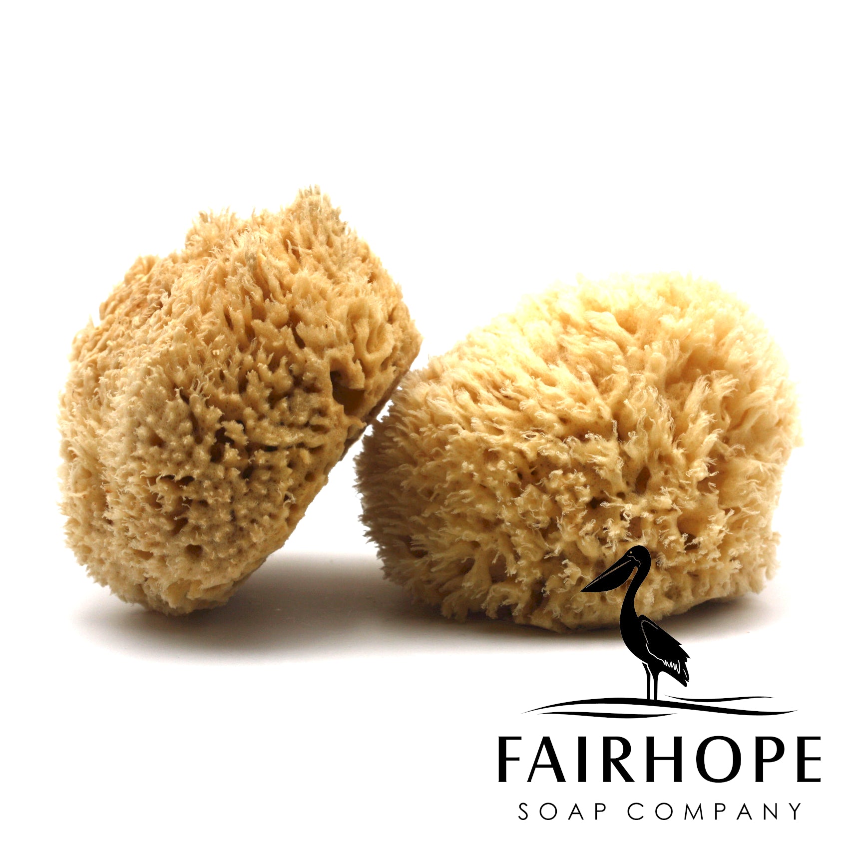 Gulf Coast Natural Sheep's Wool Sea Sponge – Fairhope Soap Company